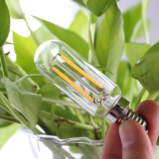 Ampoule Vintage À Petit Culot Naturel Lumière Éclairante