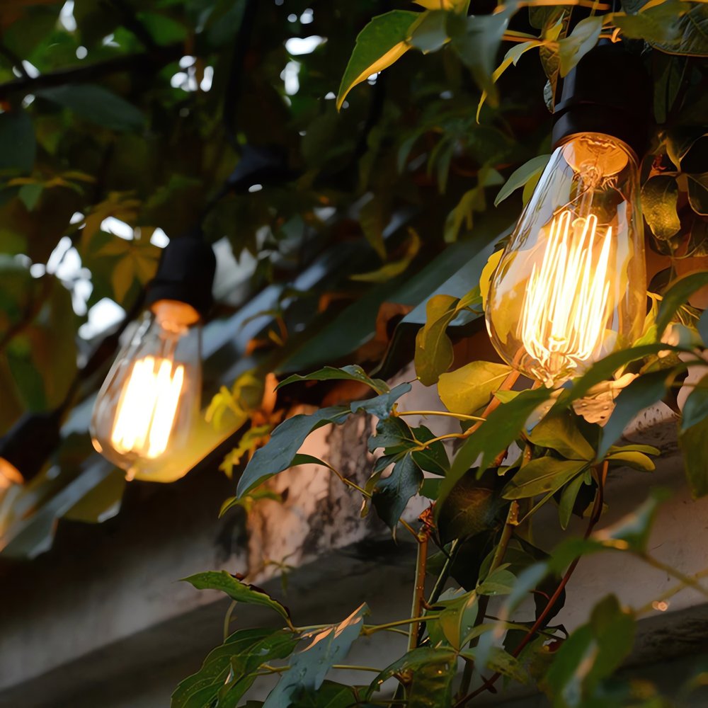 Ampoule Vintage Filament