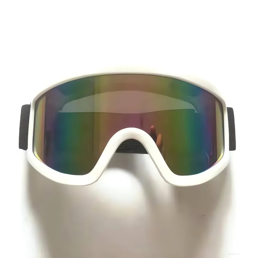 Lunettes Vintage Pour Le Ski Blanches